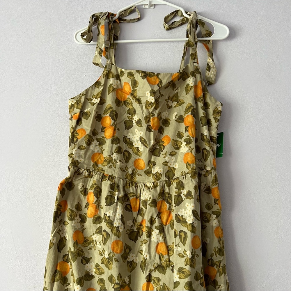NWT dip Garden Party Spring Fruit Dress XL